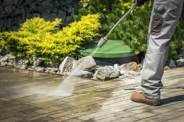 Best Pre-Holiday Cleaning  in Fort Lewis, WA