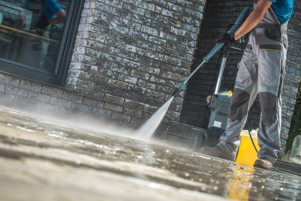 Best Solar Panel Cleaning  in Fort Lewis, WA