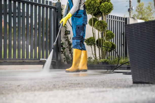Best Soft Washing  in Fort Lewis, WA